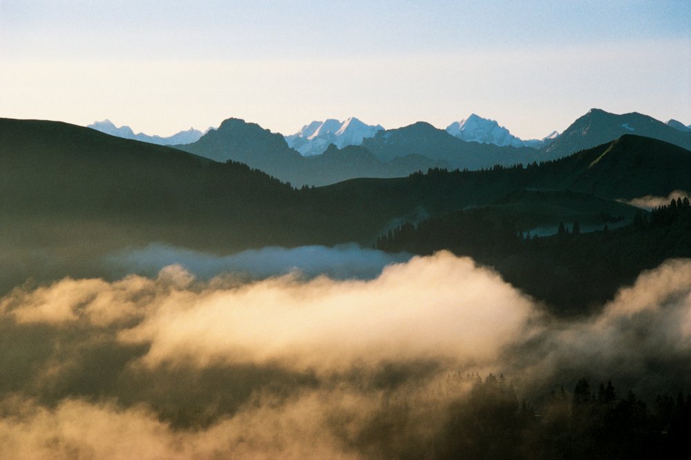 Voici à quoi pourrait ressembler une contribution