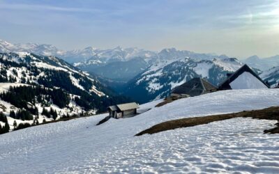 Le réveil du printemps – début de saison en mai