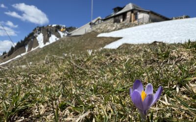 Aktuell geschlossen – Saisonstart im Mai